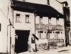 1900_Rebstock