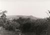 1946_schinnegrabe_am_sonnenhang