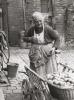 zerbe_paulin_1951