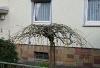 Bild14