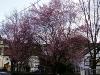 Bild23.jpg 3.4K
