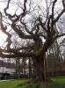Bild21.jpg 3.4K